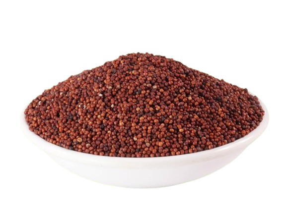Ragi Seed