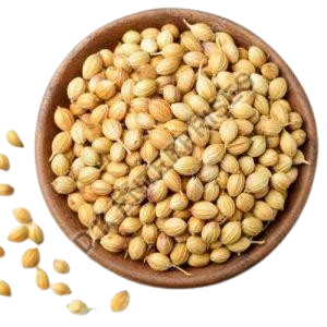 Coriander Seeds