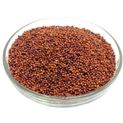 Finger Millet Seed
