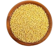 Foxtial Millet