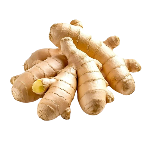  Fresh Ginger