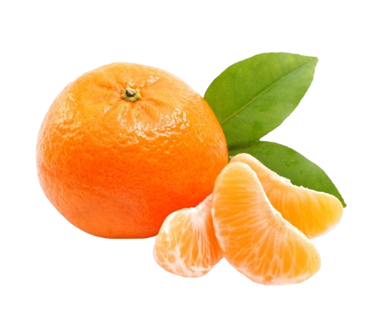  Fresh Orange