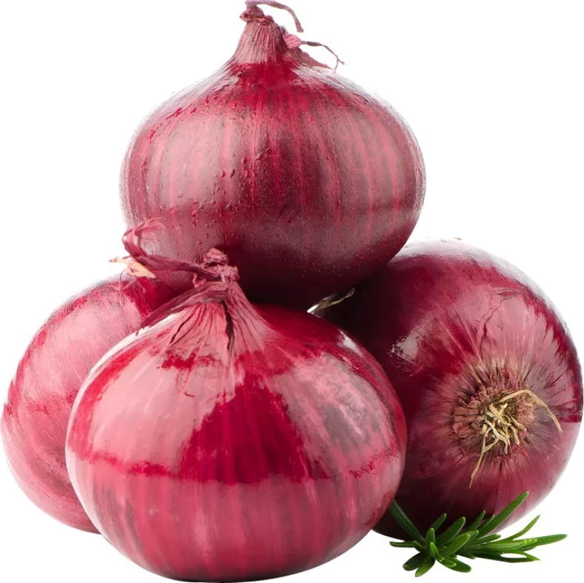 Fresh Onion